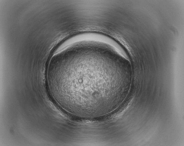 X0000111800585200908061200