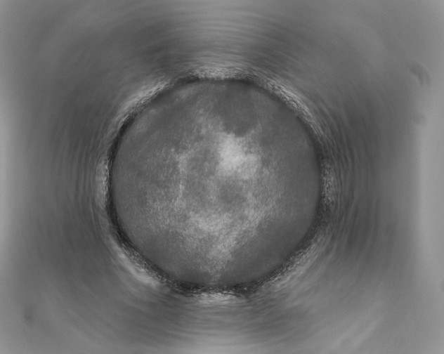 X0000111800586200908061200