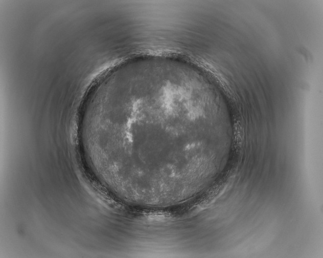 X0000111800587200908061200