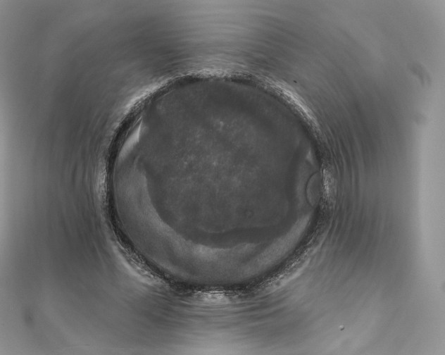 X0000111800588200908061200