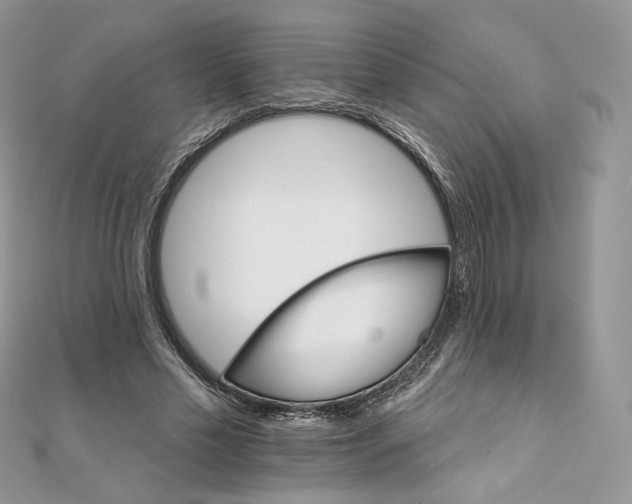 X0000111800589200908061200