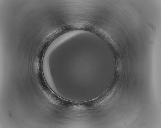 X0000111800590200908061200