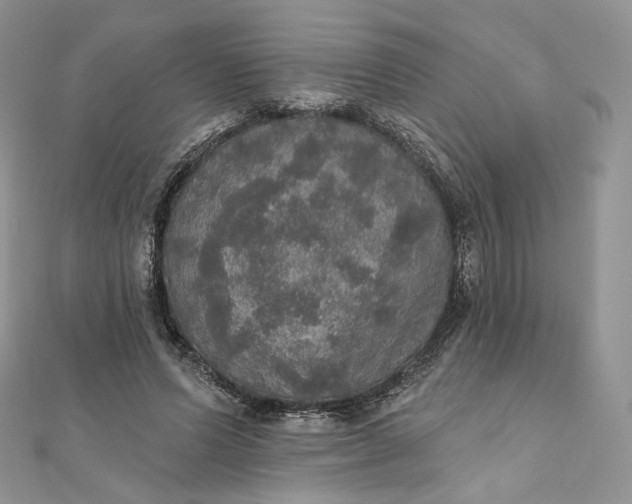 X0000111800591200908061200