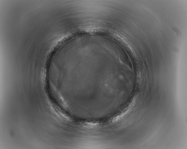 X0000111800592200908061200