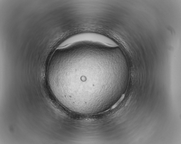 X0000111800593200908061200