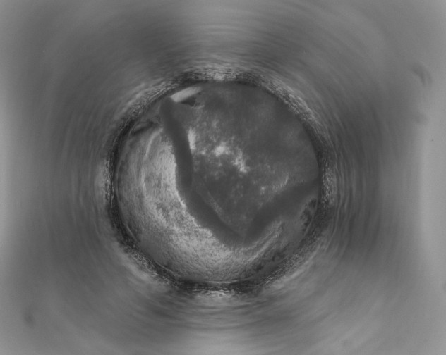 X0000111800594200908061200