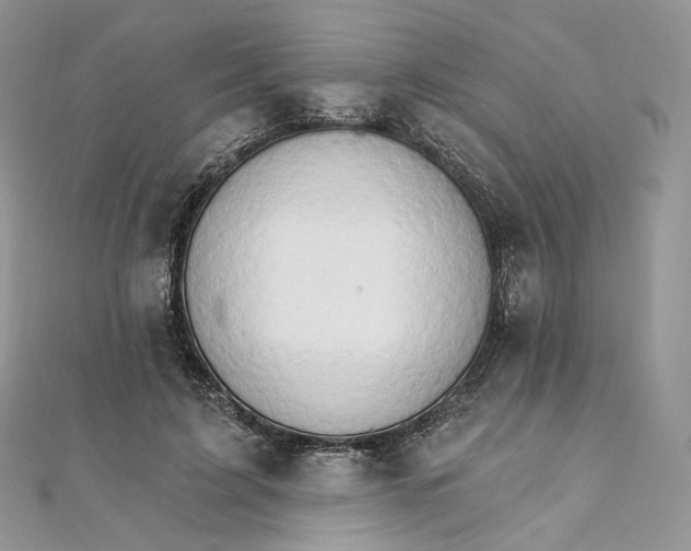 X0000111800595200908061200