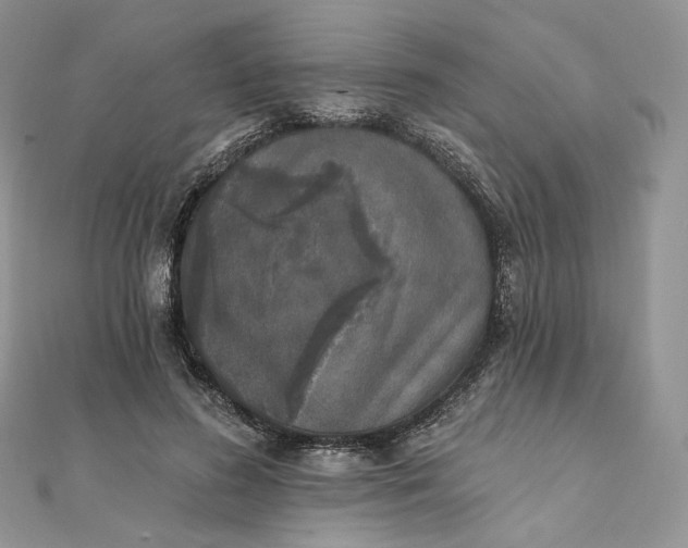 X0000111800596200908061200