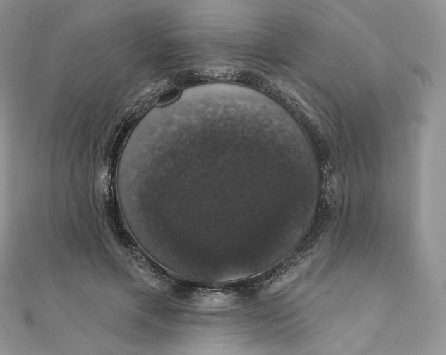 X0000111800597200908061200