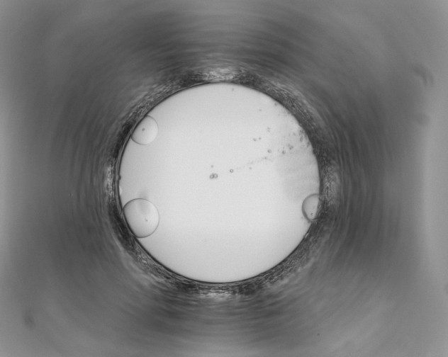 X0000111800598200908061200