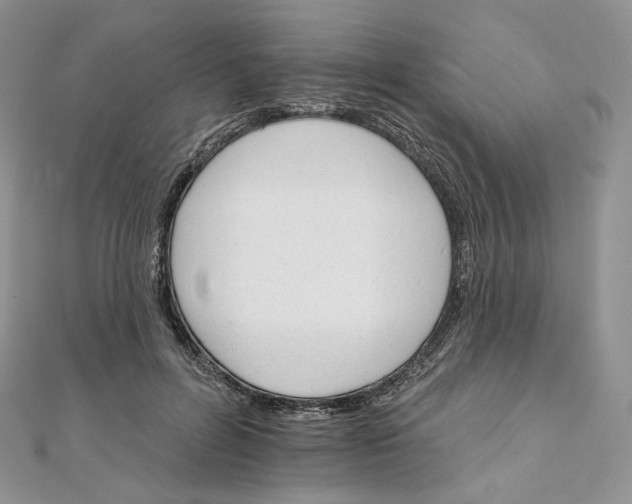 X0000111800600200908061200