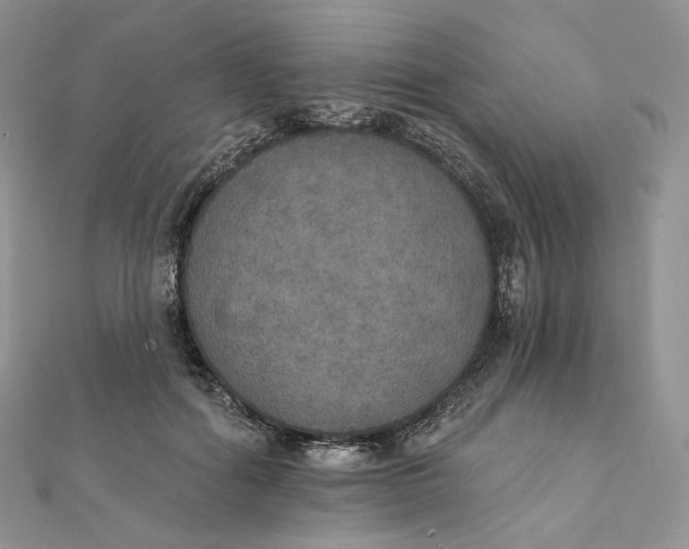 X0000111800602200908061200