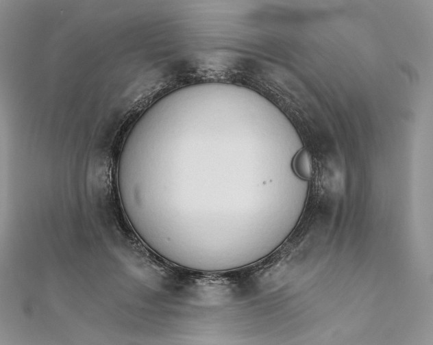 X0000111800603200908061200