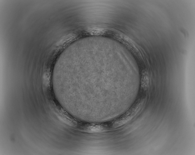 X0000111800604200908061200