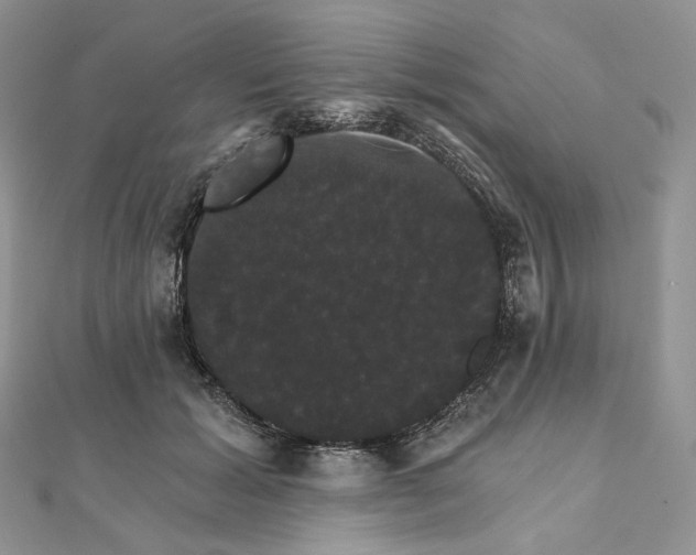 X0000111800605200908061200