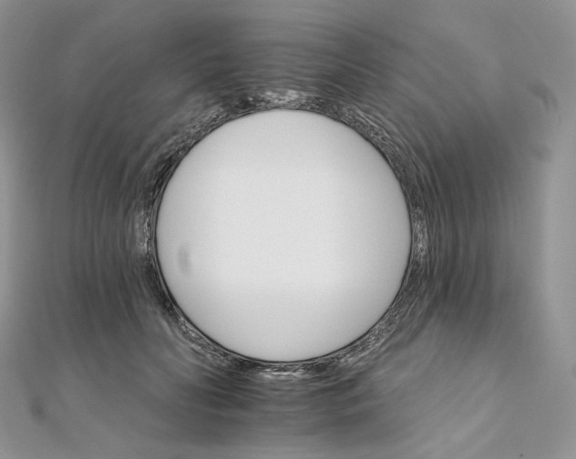 X0000111800606200908061200