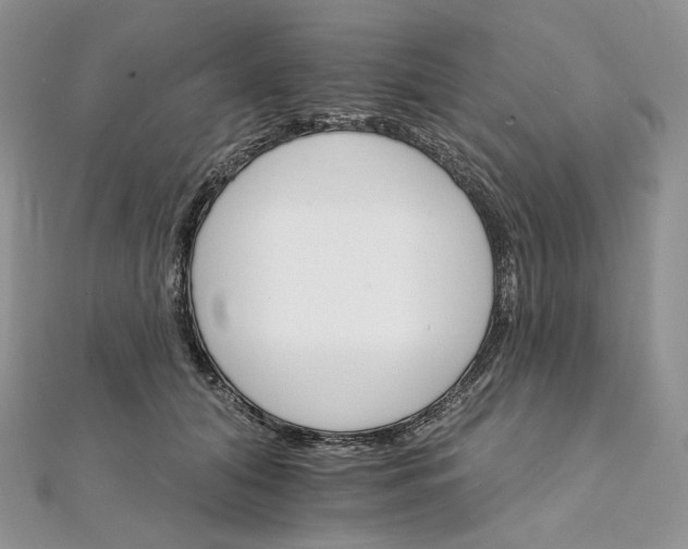 X0000111800608200908061200