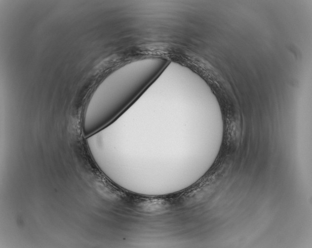 X0000111800609200908061200