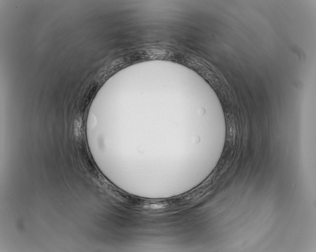 X0000111800610200908061200