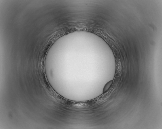 X0000111800611200908061200