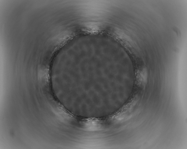 X0000111800612200908061159