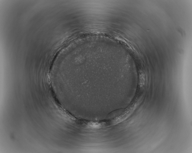 X0000111800613200908061159