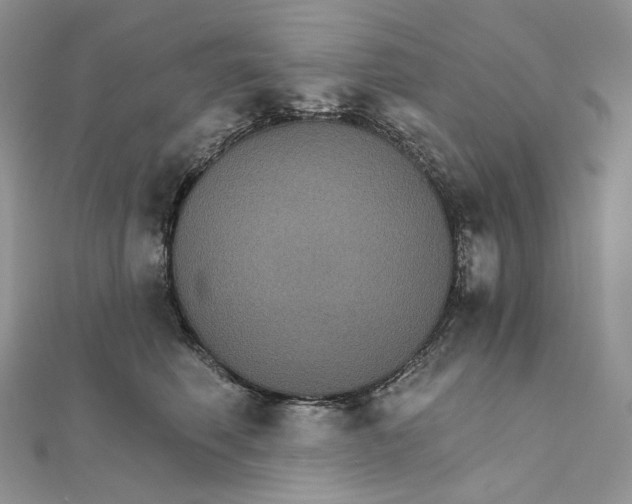 X0000111800614200908061159