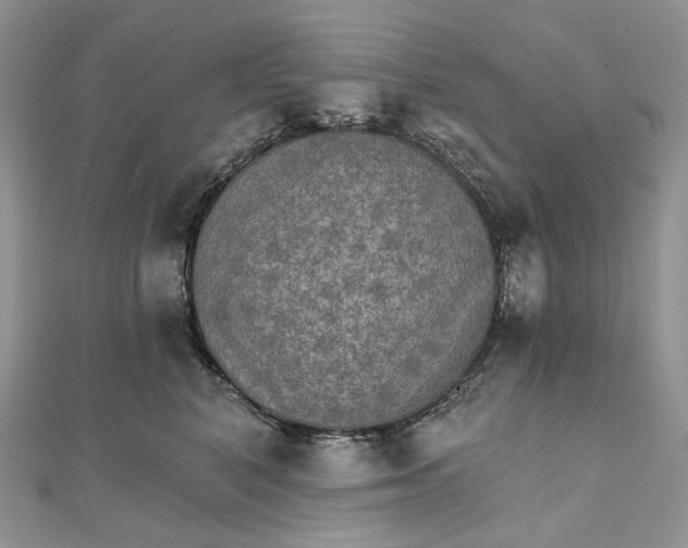 X0000111800616200908061159