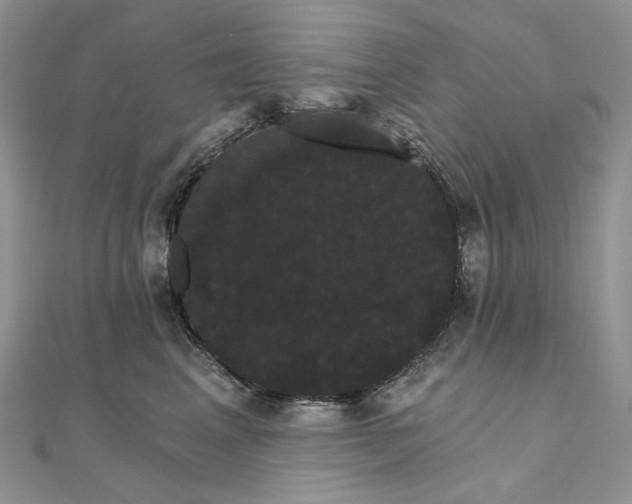 X0000111800617200908061159