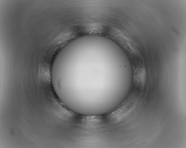 X0000111800622200908061159