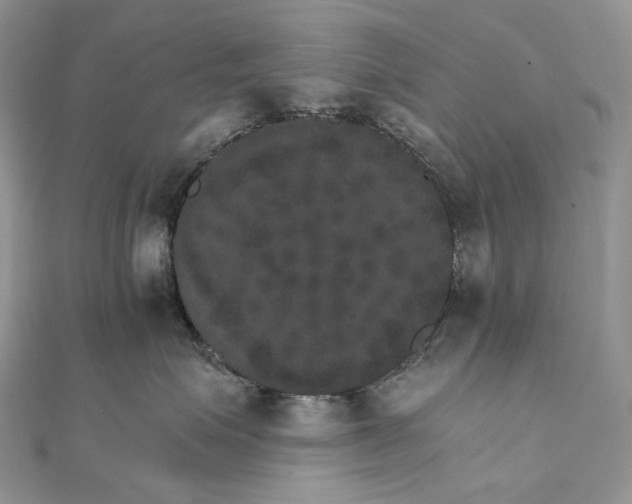 X0000111800623200908061159