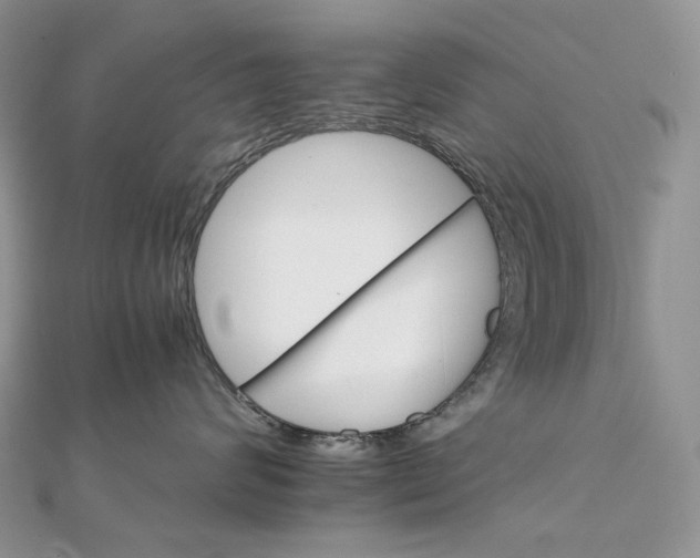 X0000111800624200908061159