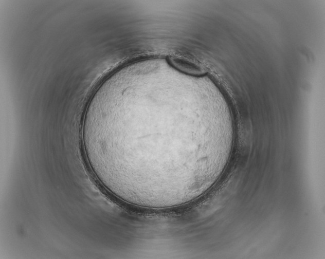 X0000111800625200908061159