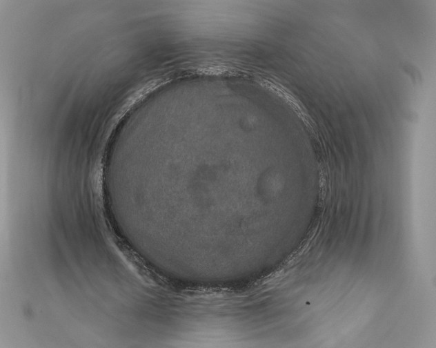 X0000111800626200908061159