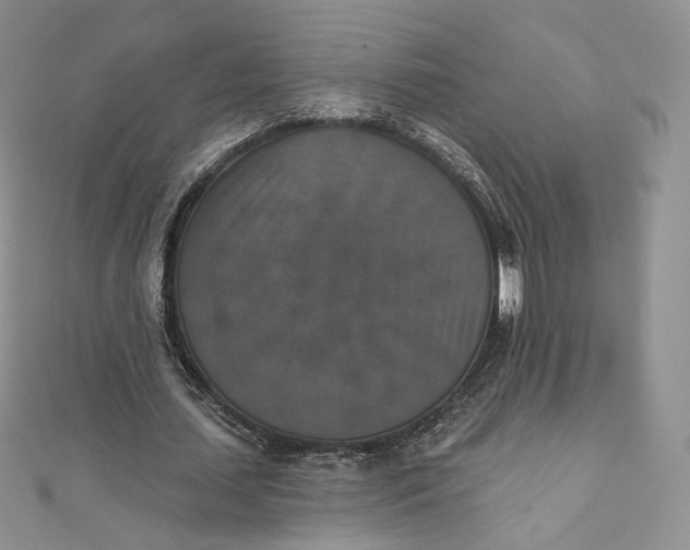 X0000111800627200908061159