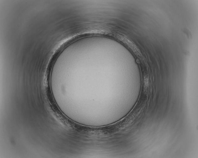 X0000111800628200908061159