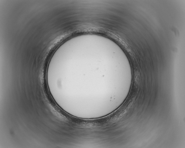 X0000111800629200908061159