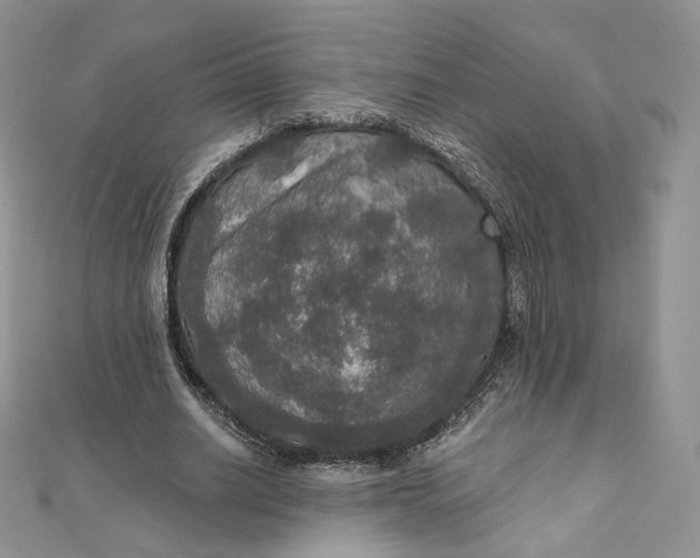 X0000111800630200908061159