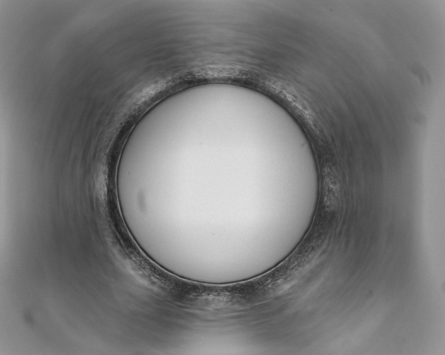 X0000111800631200908061159