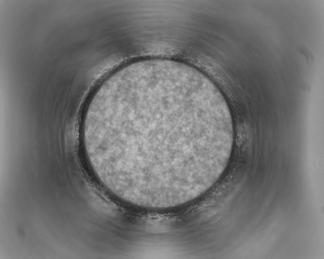 X0000111800632200908061159