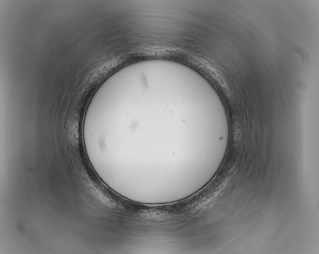 X0000111800633200908061159