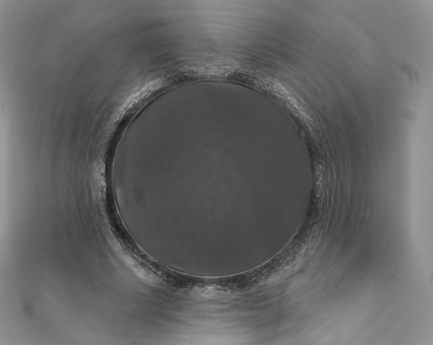 X0000111800634200908061159