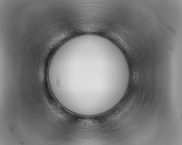 X0000111800635200908061159