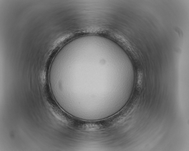 X0000111800636200908061159