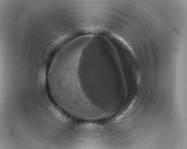 X0000111800637200908061159