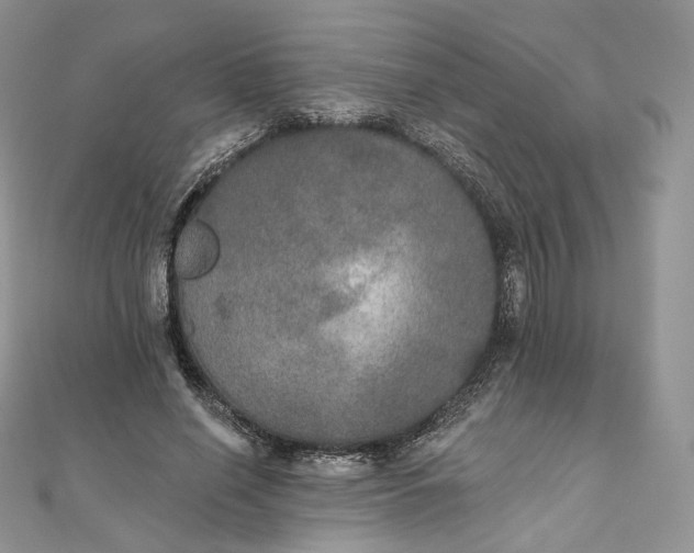 X0000111800638200908061159