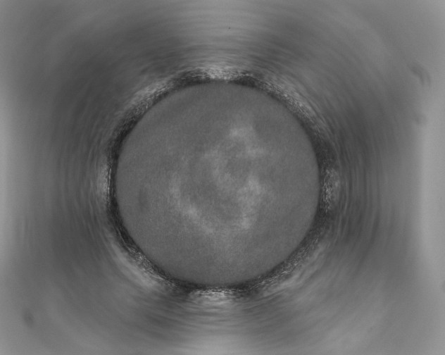 X0000111800639200908061159