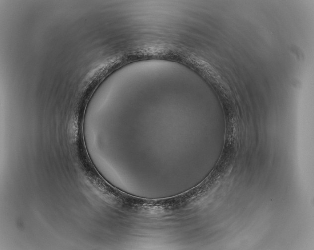 X0000111800640200908061159