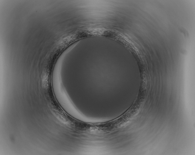 X0000111800641200908061159