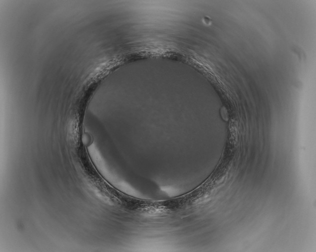 X0000111800642200908061159